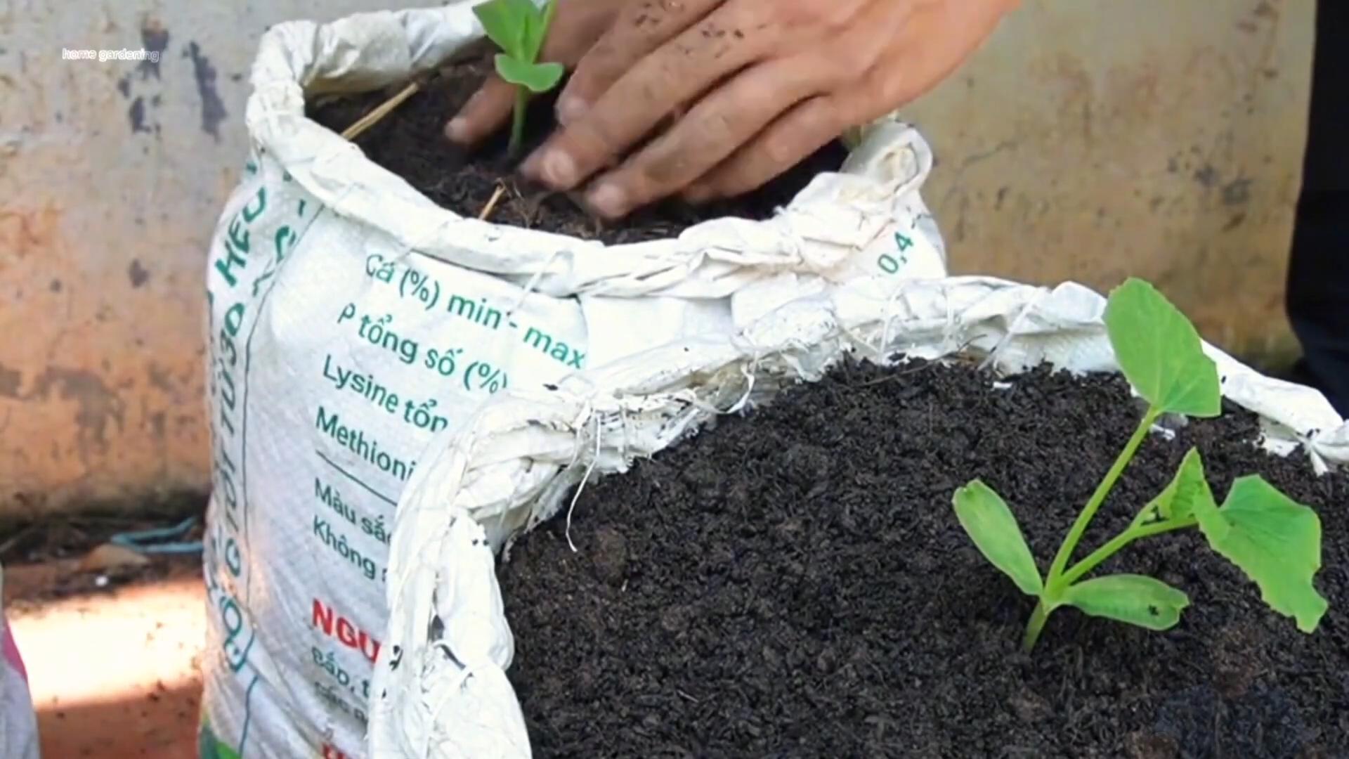 Bagged watermelon surprise