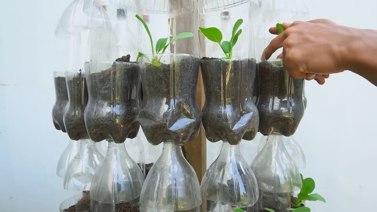 DIY Bottle Planters