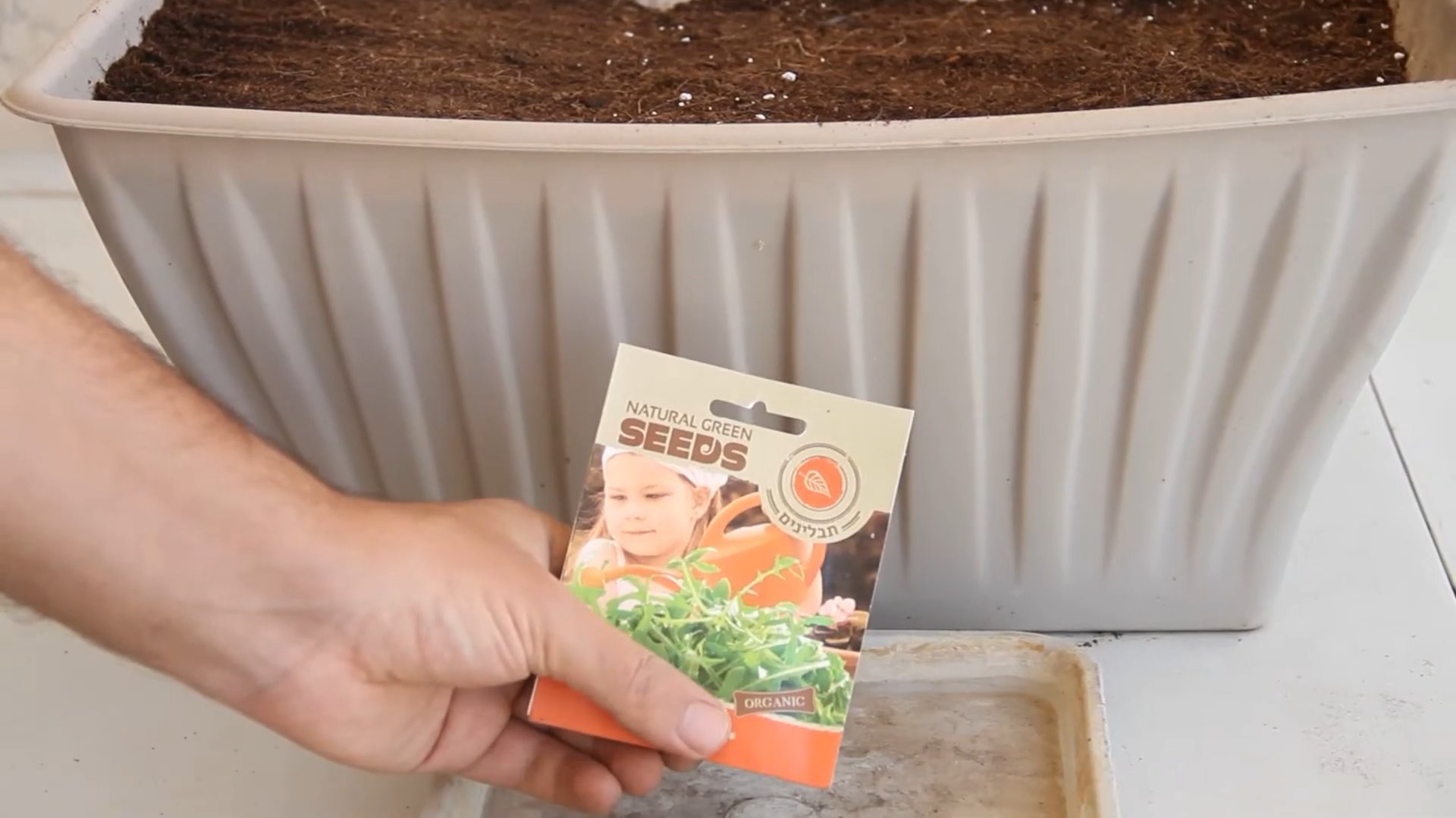 Indoor Arugula Planting Easy Ways