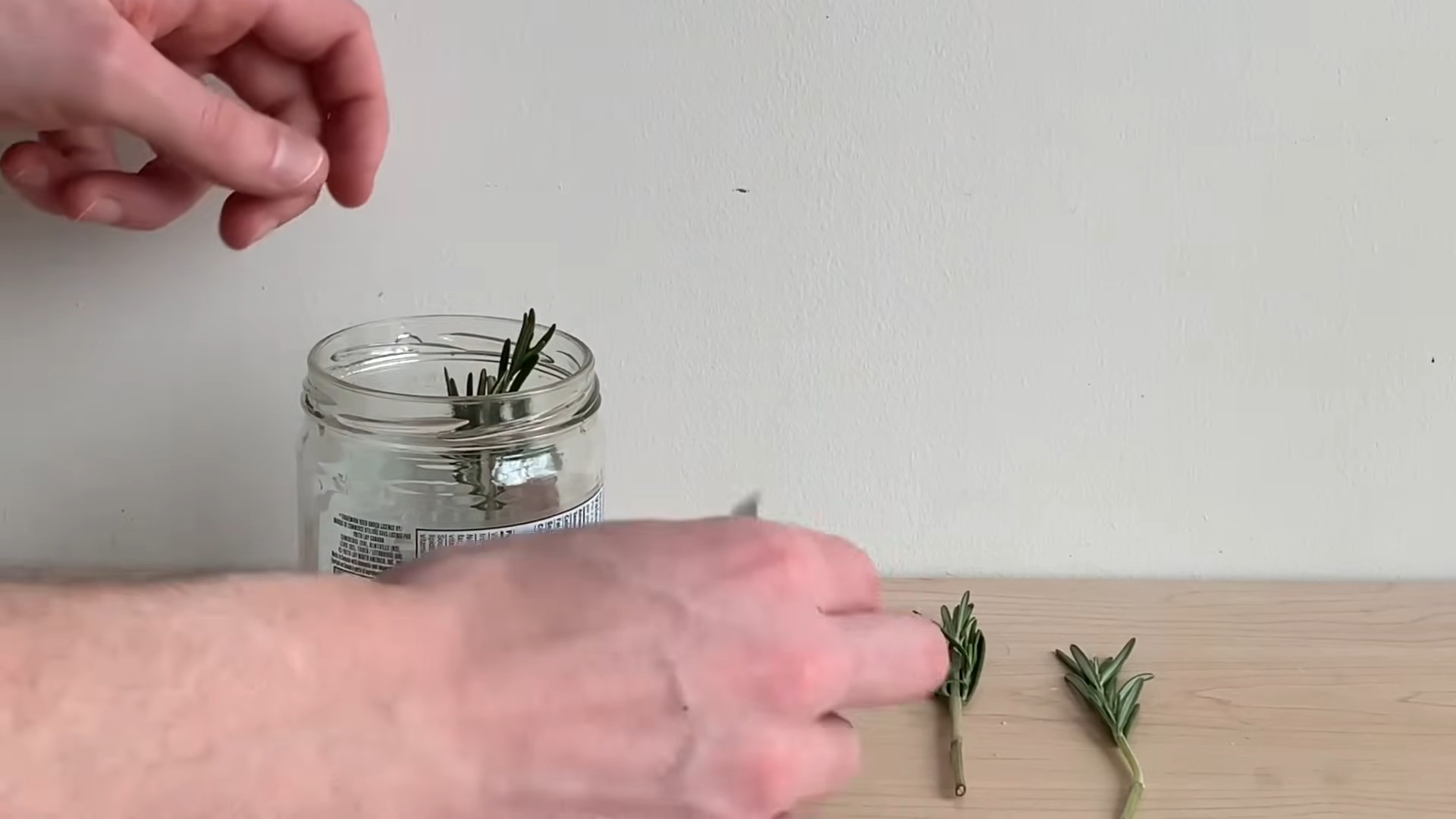 Growing Rosemary Without Soil