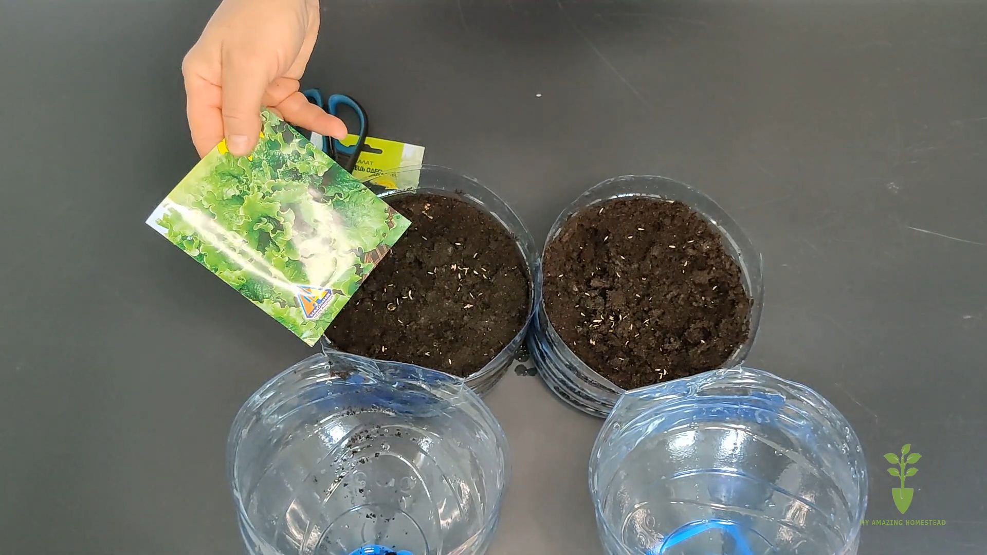 Planting Garlic Hack