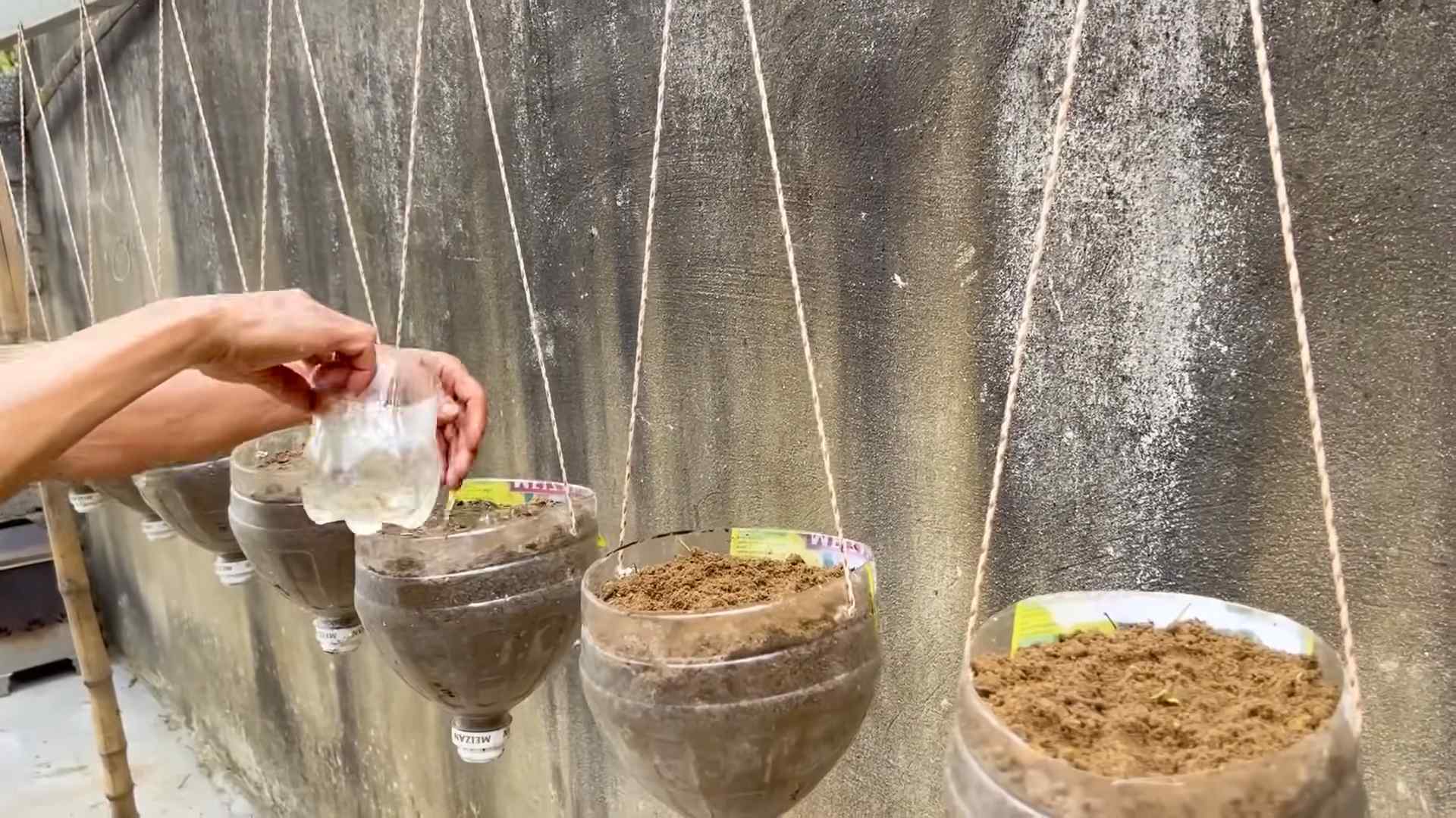 Grow Tasty Melons